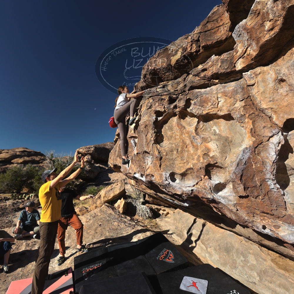 

Filename: SRM_20230314_0825040.jpg
Aperture: f/5.6
Shutter Speed: 1/500
Body: Canon EOS R6
Lens: Canon EF 16-35mm f/2.8 L