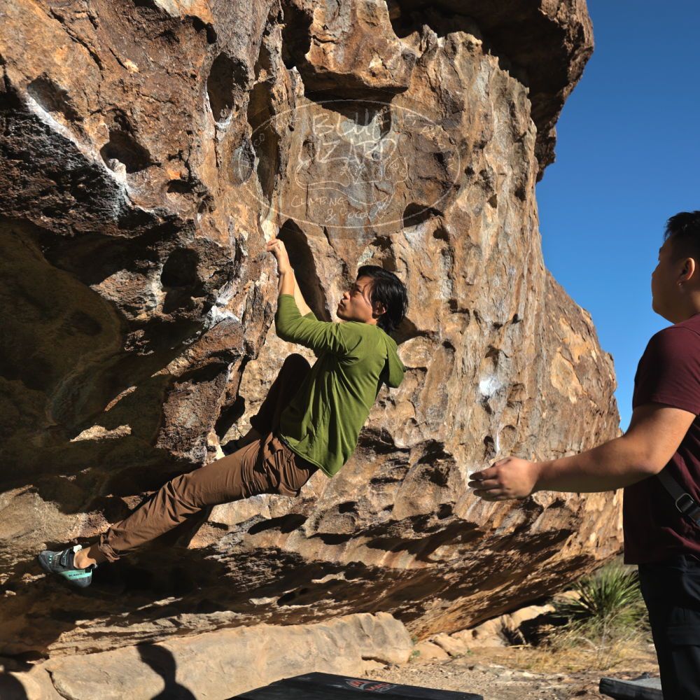 

Filename: SRM_20231119_0907210.jpg
Aperture: f/4.0
Shutter Speed: 1/2500
Body: Canon EOS R6
Lens: Canon EF 16-35mm f/2.8 L