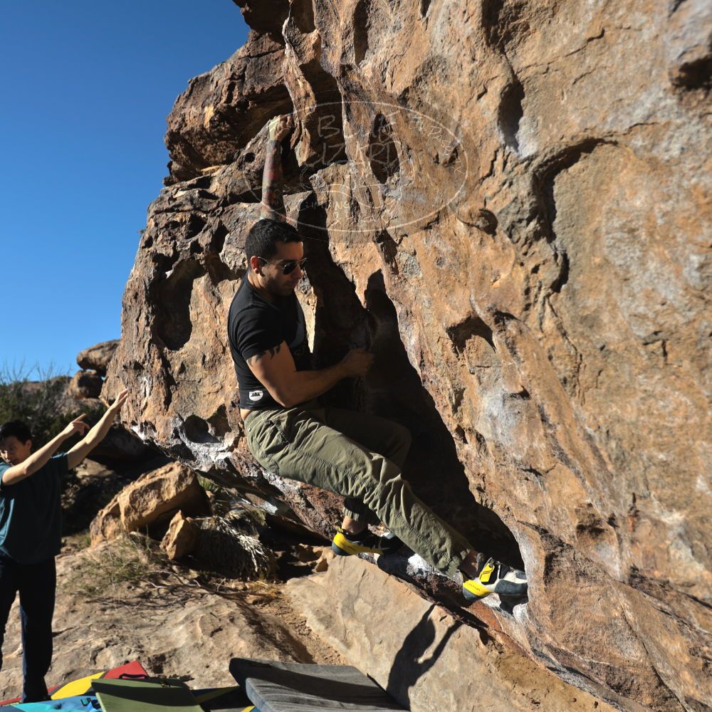 

Filename: SRM_20231119_0910060.jpg
Aperture: f/4.0
Shutter Speed: 1/2500
Body: Canon EOS R6
Lens: Canon EF 16-35mm f/2.8 L