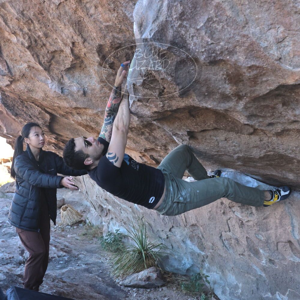 Filename: SRM_20231119_1015490.jpg
Aperture: f/5.6
Shutter Speed: 1/2000
Body: Canon EOS R6
Lens: Canon EF 16-35mm f/2.8 L