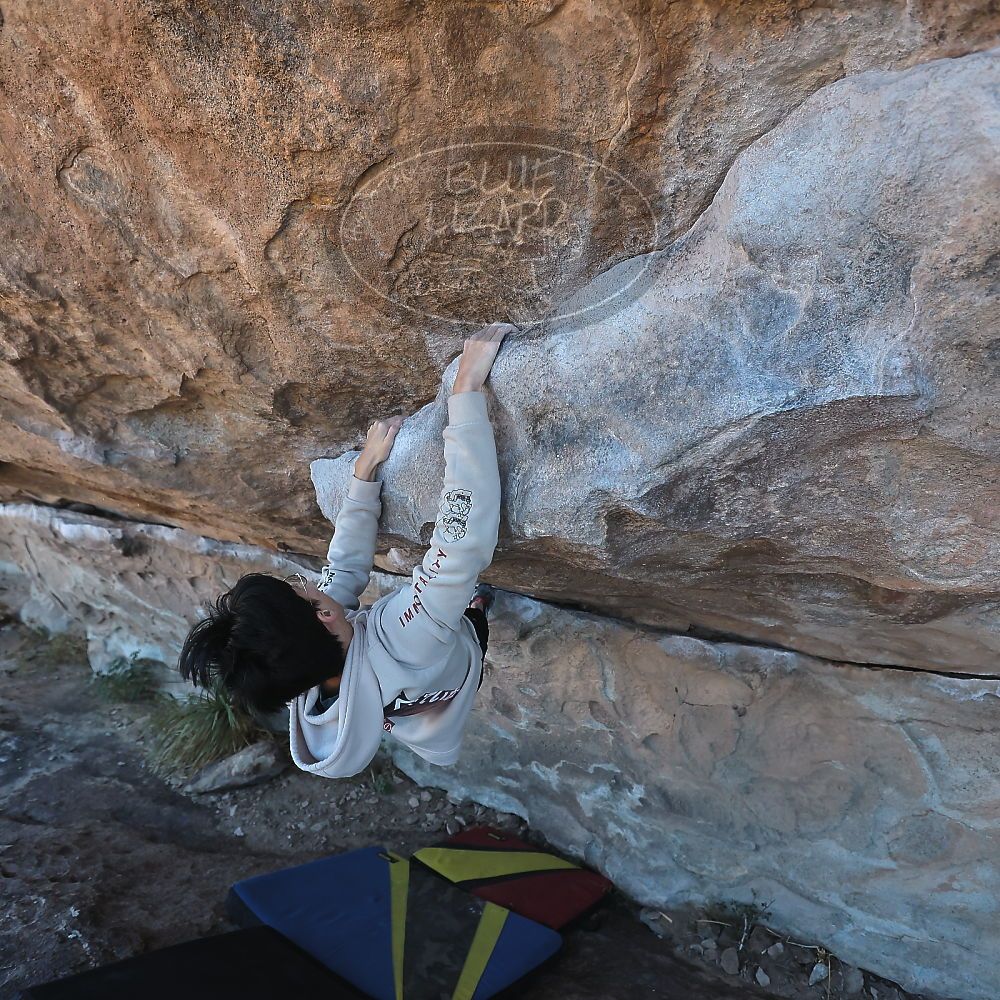 Filename: SRM_20231119_1025460.jpg
Aperture: f/4.0
Shutter Speed: 1/2000
Body: Canon EOS R6
Lens: Canon EF 16-35mm f/2.8 L