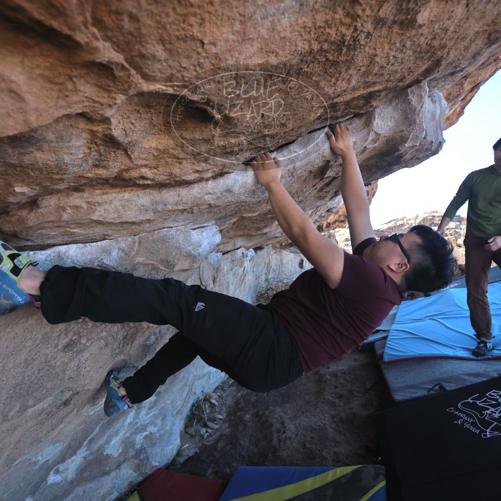 Filename: SRM_20231119_1028280.jpg
Aperture: f/4.0
Shutter Speed: 1/2000
Body: Canon EOS R6
Lens: Canon EF 16-35mm f/2.8 L