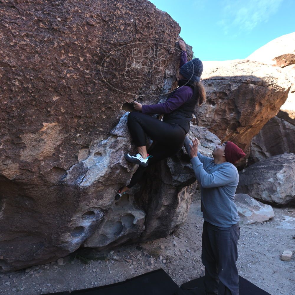 Filename: SRM_20231120_0924020.jpg
Aperture: f/5.6
Shutter Speed: 1/500
Body: Canon EOS R6
Lens: Canon EF 16-35mm f/2.8 L