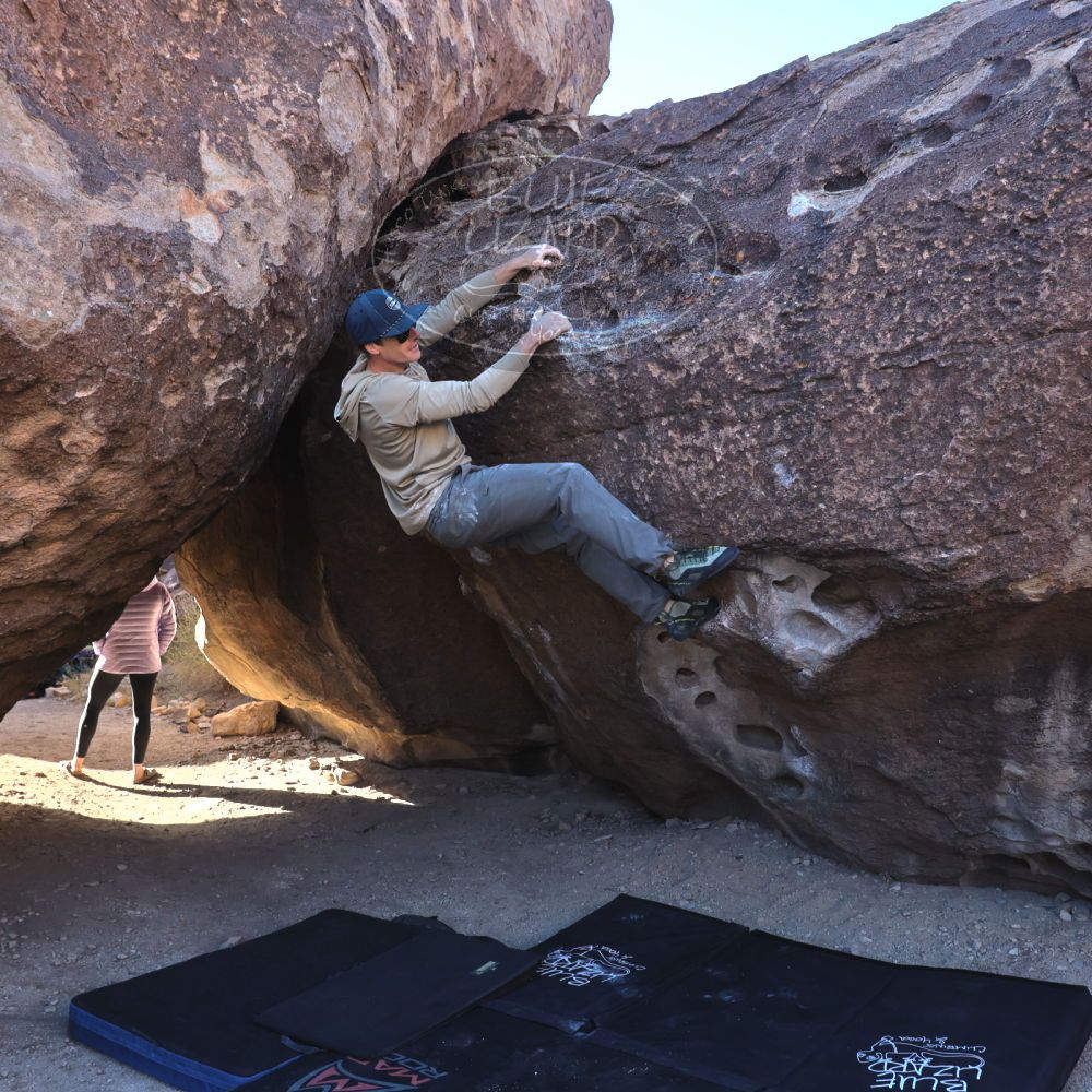 

Filename: SRM_20231120_0931370.jpg
Aperture: f/5.6
Shutter Speed: 1/500
Body: Canon EOS R6
Lens: Canon EF 16-35mm f/2.8 L