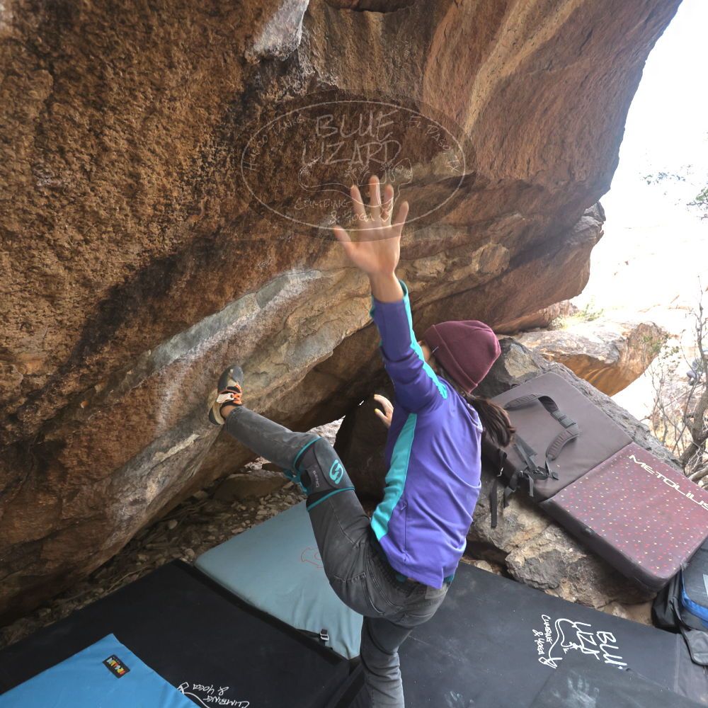 Filename: SRM_20231120_1229501.jpg
Aperture: f/4.0
Shutter Speed: 1/800
Body: Canon EOS R6
Lens: Canon EF 16-35mm f/2.8 L