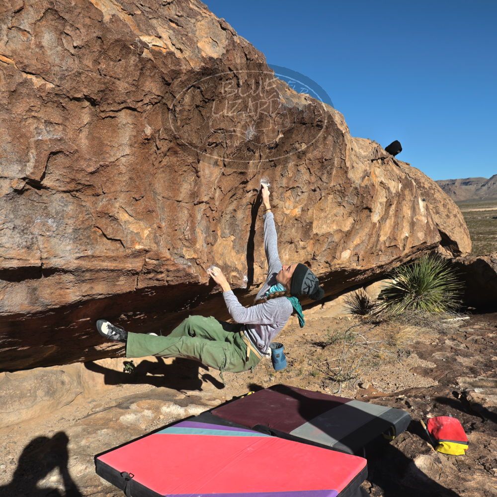 Filename: SRM_20231122_0926150.jpg
Aperture: f/8.0
Shutter Speed: 1/640
Body: Canon EOS R6
Lens: Canon EF 16-35mm f/2.8 L