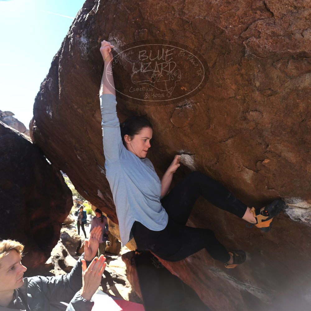 Filename: SRM_20231122_1133290.jpg
Aperture: f/5.6
Shutter Speed: 1/400
Body: Canon EOS R6
Lens: Canon EF 16-35mm f/2.8 L