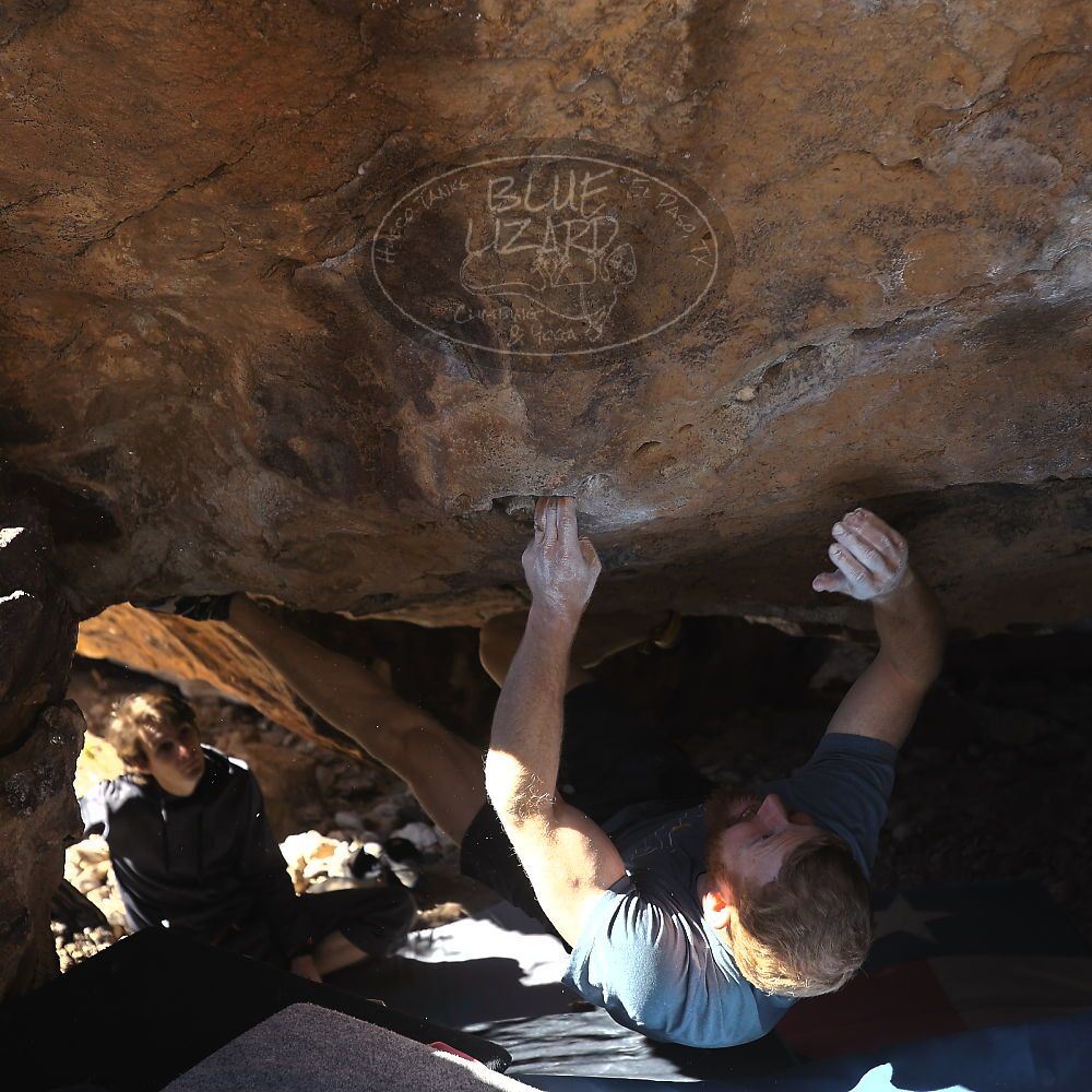 

Filename: SRM_20231122_1254240.jpg
Aperture: f/4.0
Shutter Speed: 1/500
Body: Canon EOS R6
Lens: Canon EF 16-35mm f/2.8 L