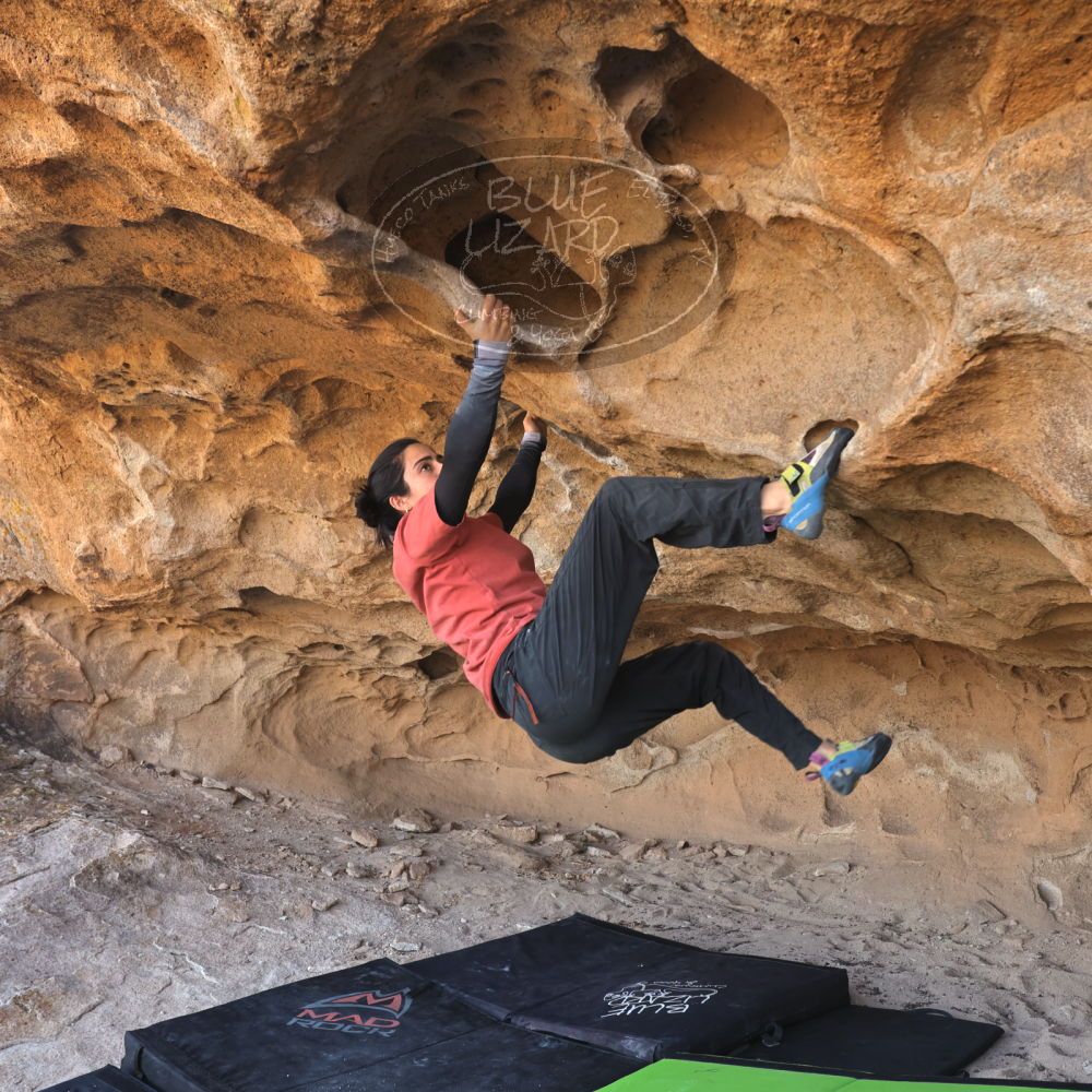 

Filename: SRM_20231123_1300590.jpg
Aperture: f/5.6
Shutter Speed: 1/400
Body: Canon EOS R6
Lens: Canon EF 16-35mm f/2.8 L