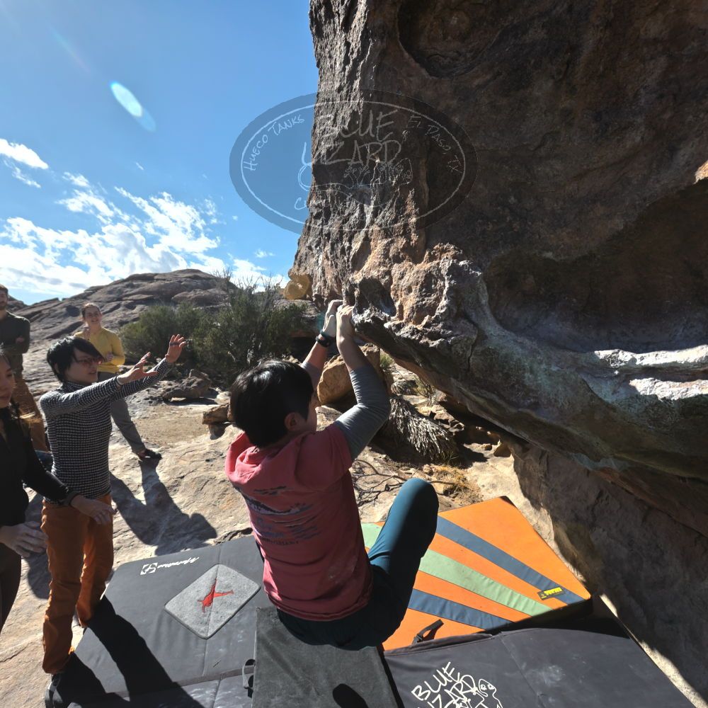 

Filename: SRM_20231125_1126360.jpg
Aperture: f/8.0
Shutter Speed: 1/1250
Body: Canon EOS R6
Lens: Canon EF 16-35mm f/2.8 L