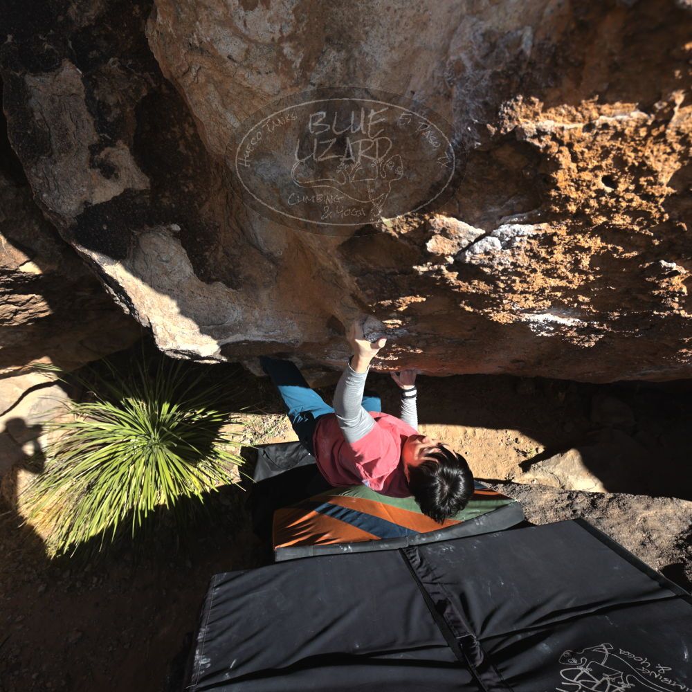 

Filename: SRM_20231125_1252020.jpg
Aperture: f/5.6
Shutter Speed: 1/1000
Body: Canon EOS R6
Lens: Canon EF 16-35mm f/2.8 L