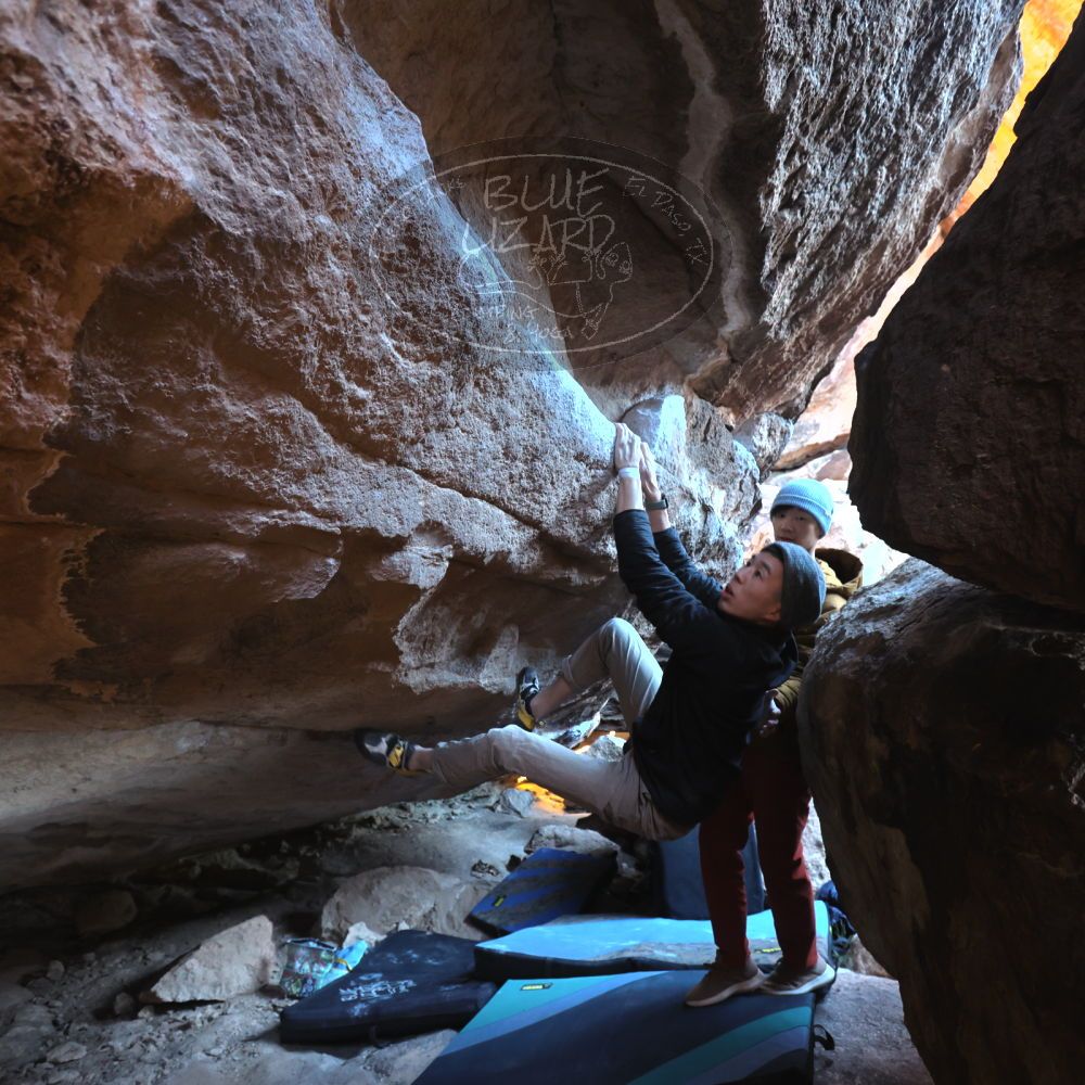 

Filename: SRM_20231202_1619350.jpg
Aperture: f/4.0
Shutter Speed: 1/80
Body: Canon EOS R6
Lens: Canon EF 16-35mm f/2.8 L
