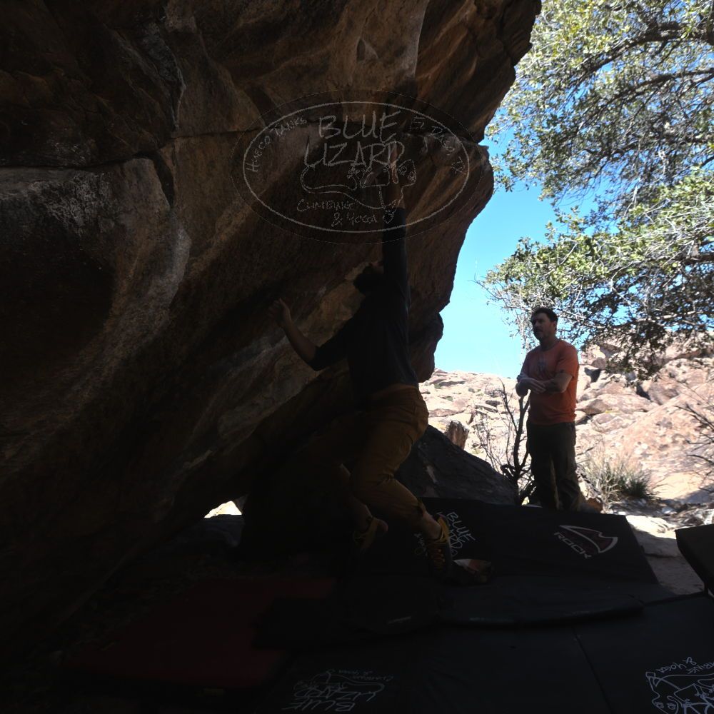 

Filename: SRM_20240310_1225155.jpg
Aperture: f/5.6
Shutter Speed: 1/500
Body: Canon EOS R6
Lens: Canon EF 16-35mm f/2.8 L