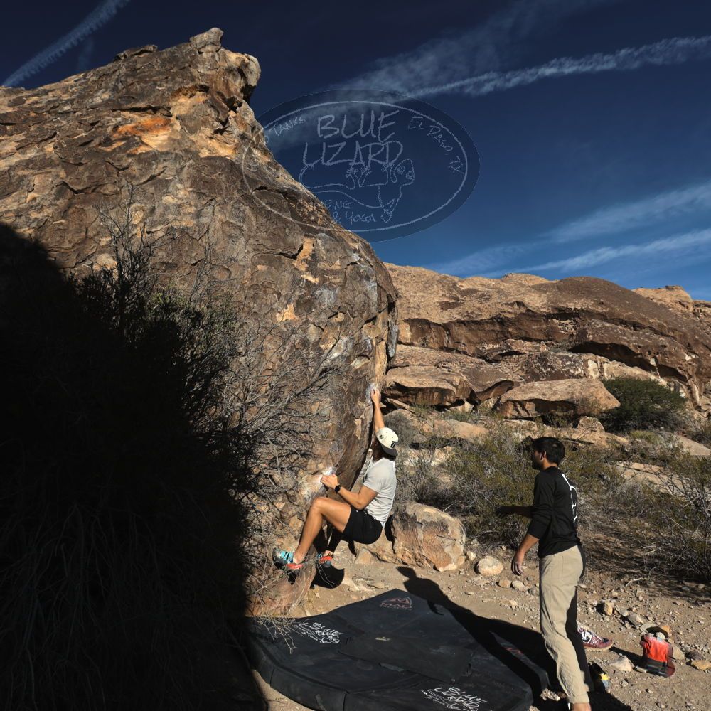 

Filename: SRM_20241215_0947550.jpg
Aperture: f/8.0
Shutter Speed: 1/500
Body: Canon EOS R6
Lens: Canon EF 16-35mm f/2.8 L