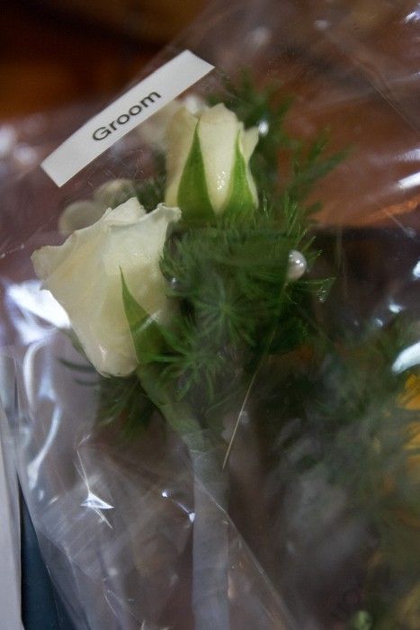 Emily Marek and James Oyan's wedding ceremony at the Cathedral of the Sacred Heart, Saturday, July 12, 2008.

Filename: SRM_20080712_0640203.jpg
Aperture: f/2.8
Shutter Speed: 1/60
Body: Canon EOS-1D Mark II
Lens: Canon EF 16-35mm f/2.8 L