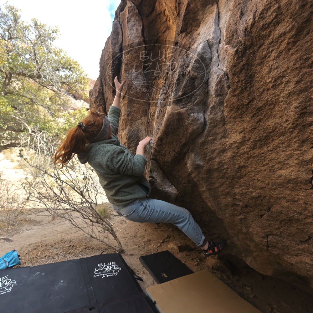 

Filename: SRM_20250112_1333060.jpg
Aperture: f/5.6
Shutter Speed: 1/500
Body: Canon EOS R6
Lens: Canon EF 16-35mm f/2.8 L