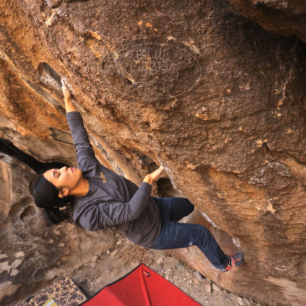 Filename: SRM_20250125_1100361.jpg
Aperture: f/5.6
Shutter Speed: 1/500
Body: Canon EOS R6
Lens: Canon EF 16-35mm f/2.8 L