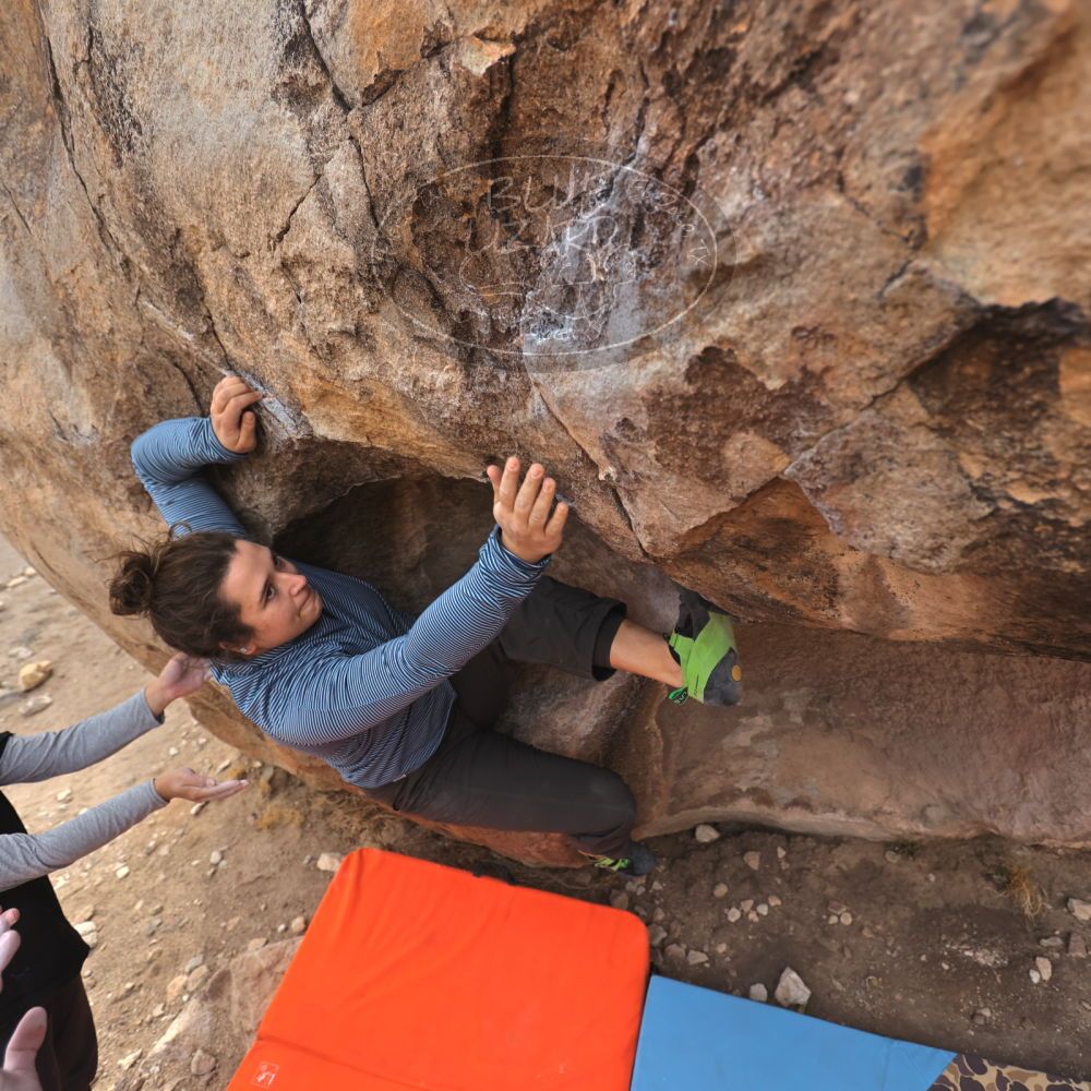 Filename: SRM_20250125_1148480.jpg
Aperture: f/4.0
Shutter Speed: 1/500
Body: Canon EOS R6
Lens: Canon EF 16-35mm f/2.8 L