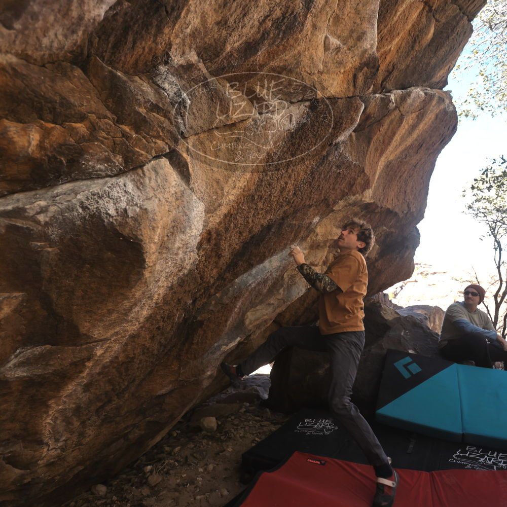 Filename: SRM_20250125_1319070.jpg
Aperture: f/4.0
Shutter Speed: 1/500
Body: Canon EOS R6
Lens: Canon EF 16-35mm f/2.8 L