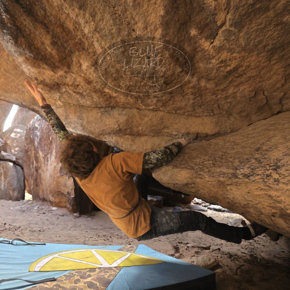 Filename: SRM_20250125_1355400.jpg
Aperture: f/4.0
Shutter Speed: 1/500
Body: Canon EOS R6
Lens: Canon EF 16-35mm f/2.8 L