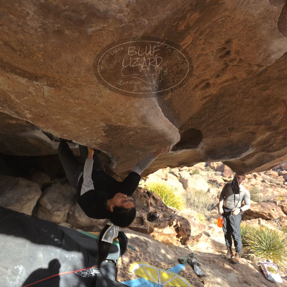 Filename: SRM_20250125_1517460.jpg
Aperture: f/4.0
Shutter Speed: 1/500
Body: Canon EOS R6
Lens: Canon EF 16-35mm f/2.8 L