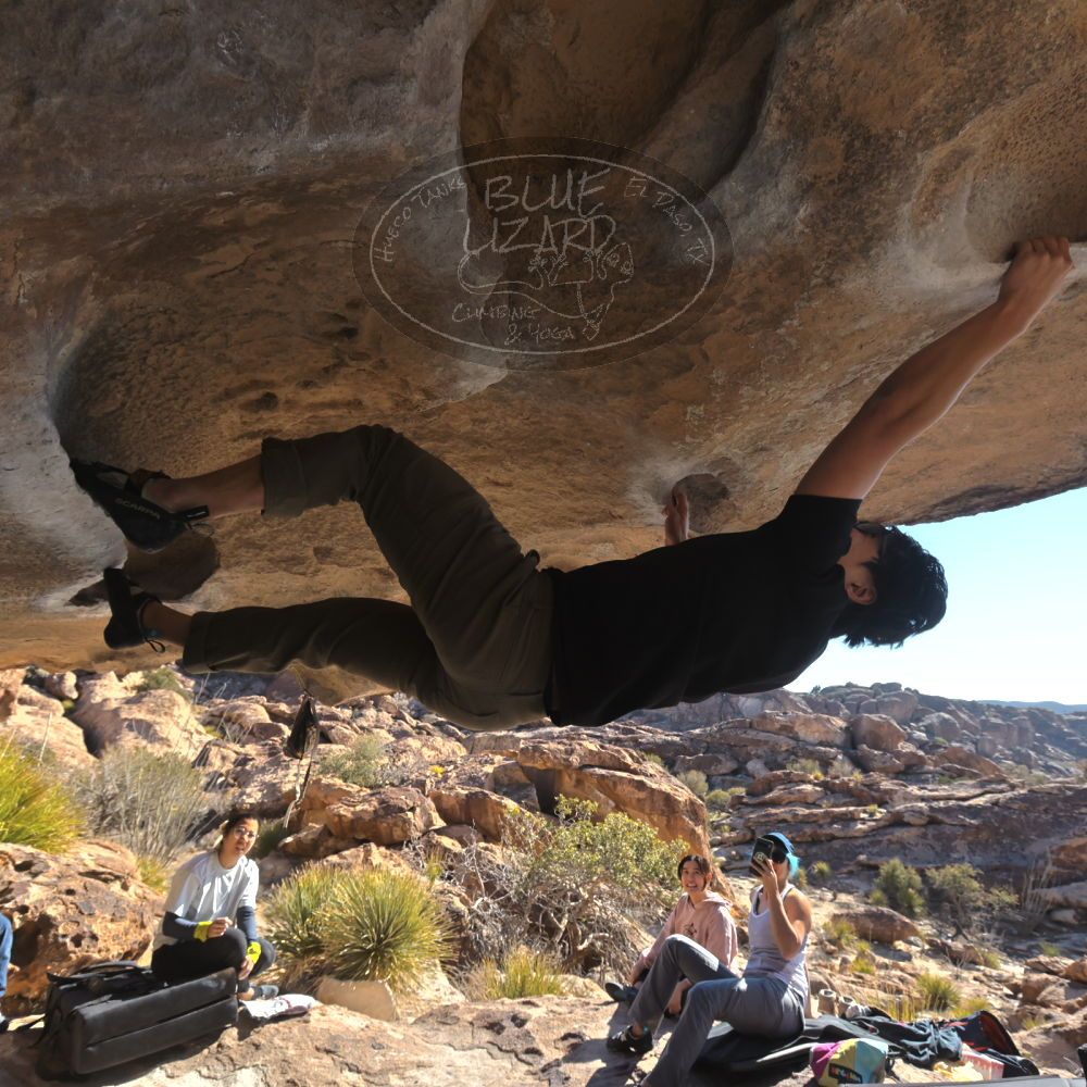 Filename: SRM_20250126_1057130.jpg
Aperture: f/8.0
Shutter Speed: 1/400
Body: Canon EOS R6
Lens: Canon EF 16-35mm f/2.8 L