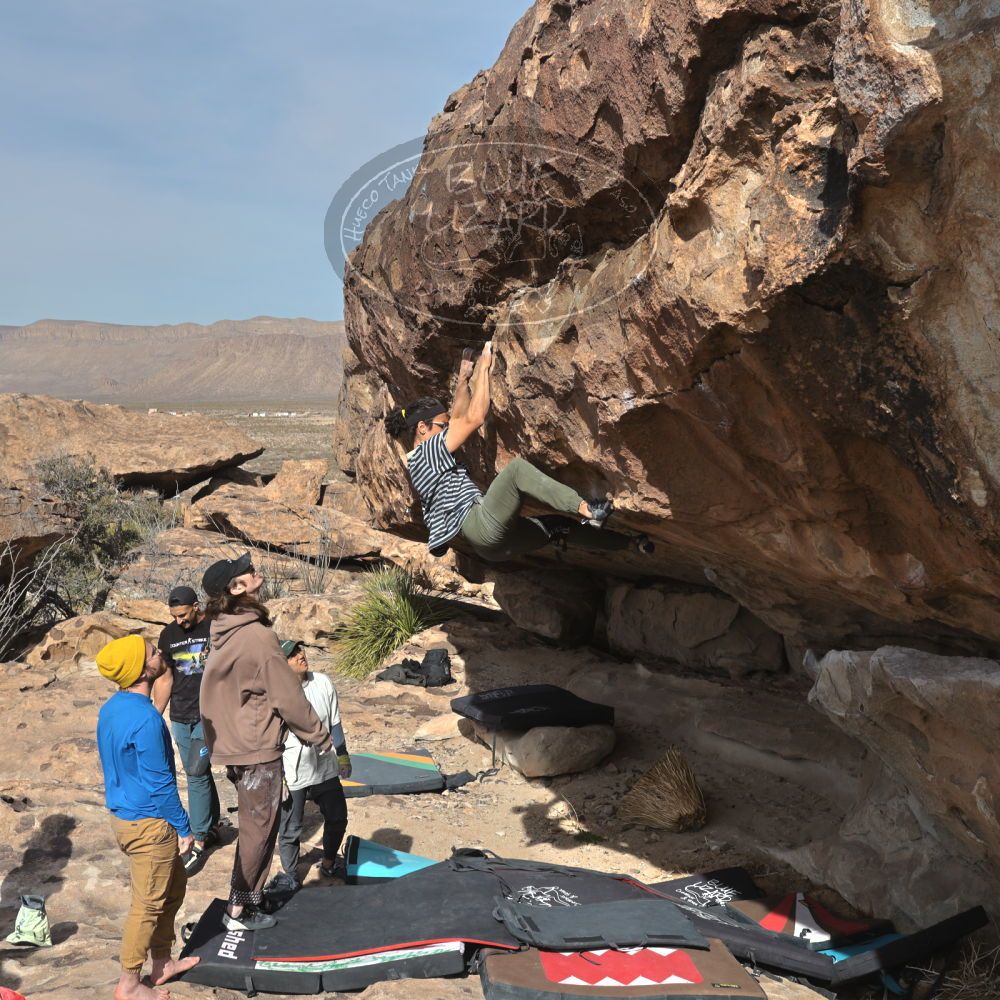 Filename: SRM_20250201_1355230.jpg
Aperture: f/10.0
Shutter Speed: 1/400
Body: Canon EOS R6
Lens: Canon EF 16-35mm f/2.8 L