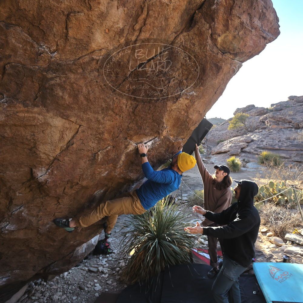 Filename: SRM_20250201_1631310.jpg
Aperture: f/5.6
Shutter Speed: 1/800
Body: Canon EOS R6
Lens: Canon EF 16-35mm f/2.8 L