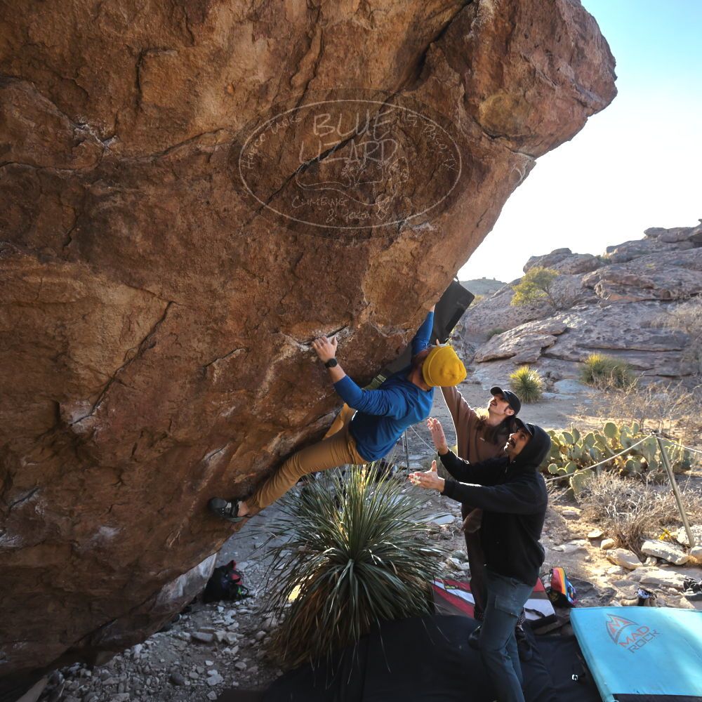 Filename: SRM_20250201_1631390.jpg
Aperture: f/5.6
Shutter Speed: 1/800
Body: Canon EOS R6
Lens: Canon EF 16-35mm f/2.8 L