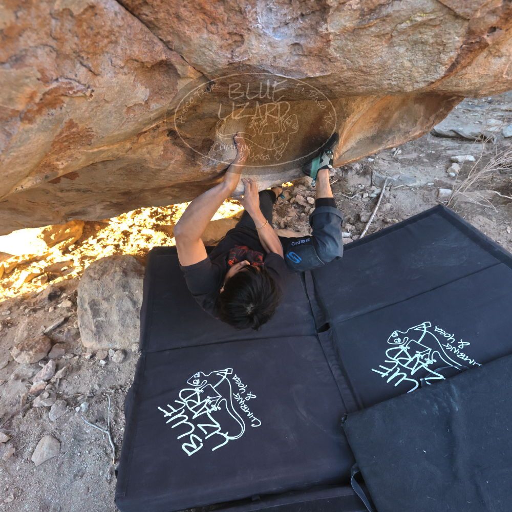 Filename: SRM_20250201_1705520.jpg
Aperture: f/5.6
Shutter Speed: 1/800
Body: Canon EOS R6
Lens: Canon EF 16-35mm f/2.8 L