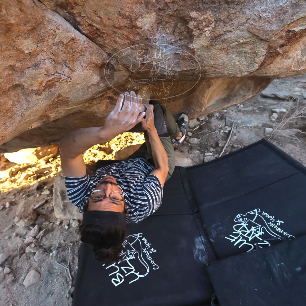 Filename: SRM_20250201_1706430.jpg
Aperture: f/5.6
Shutter Speed: 1/800
Body: Canon EOS R6
Lens: Canon EF 16-35mm f/2.8 L