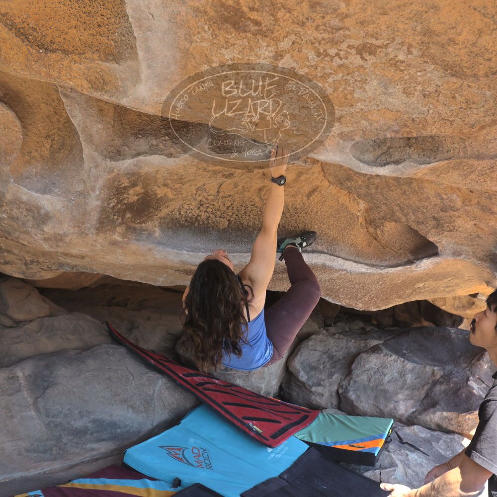 Filename: SRM_20250202_1207011.jpg
Aperture: f/5.6
Shutter Speed: 1/640
Body: Canon EOS R6
Lens: Canon EF 16-35mm f/2.8 L