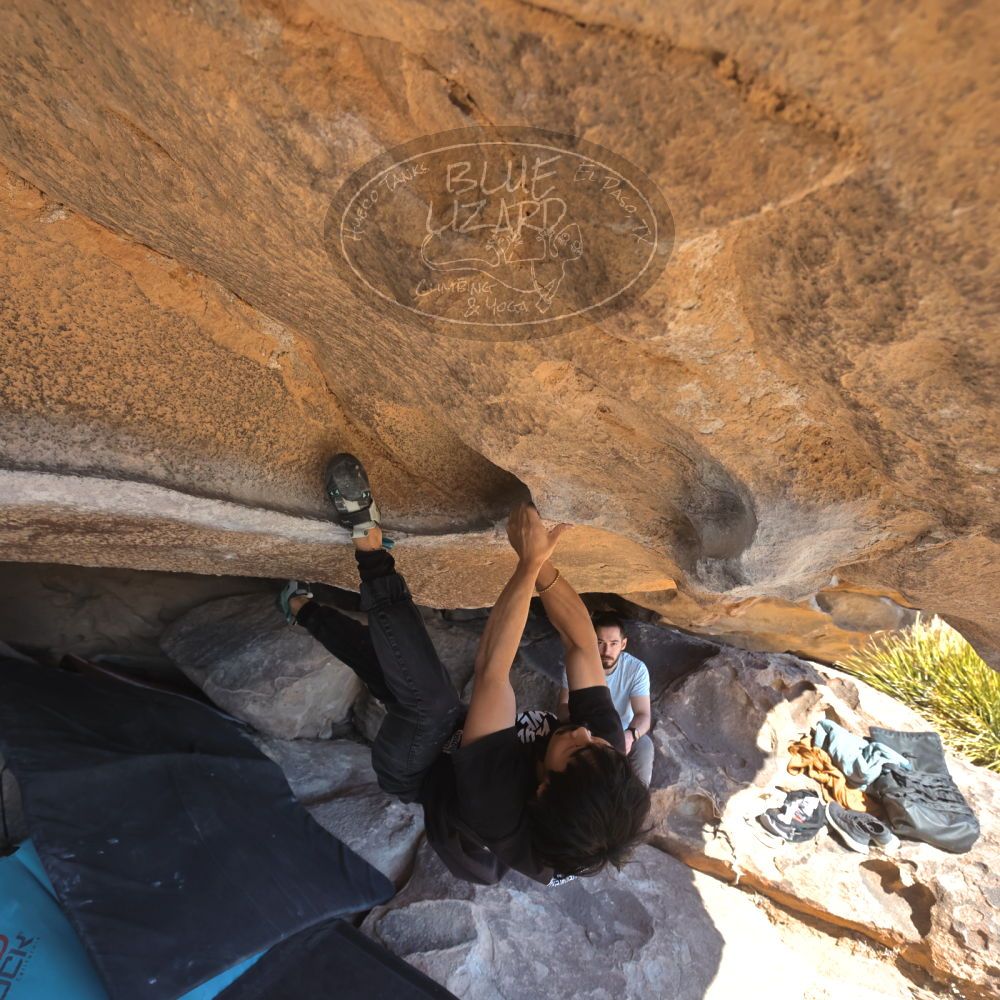 Filename: SRM_20250202_1244510.jpg
Aperture: f/5.6
Shutter Speed: 1/500
Body: Canon EOS R6
Lens: Canon EF 16-35mm f/2.8 L