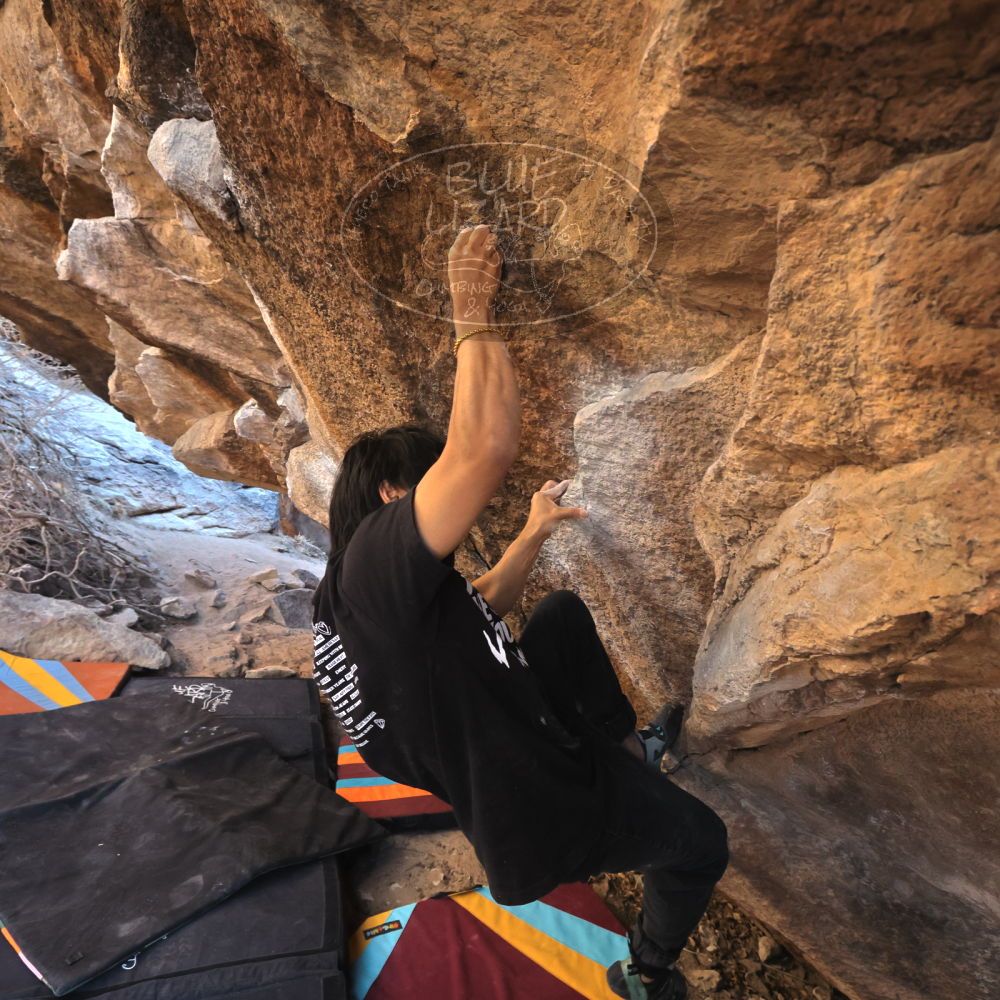 Filename: SRM_20250202_1555510.jpg
Aperture: f/5.6
Shutter Speed: 1/400
Body: Canon EOS R6
Lens: Canon EF 16-35mm f/2.8 L