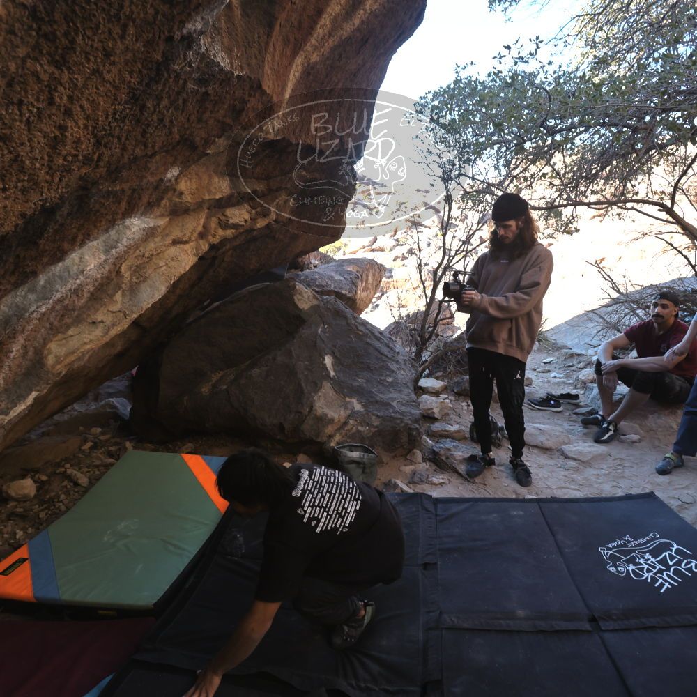 Filename: SRM_20250202_1558395.jpg
Aperture: f/5.6
Shutter Speed: 1/400
Body: Canon EOS R6
Lens: Canon EF 16-35mm f/2.8 L