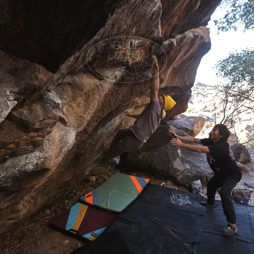 Filename: SRM_20250202_1623230.jpg
Aperture: f/5.6
Shutter Speed: 1/400
Body: Canon EOS R6
Lens: Canon EF 16-35mm f/2.8 L