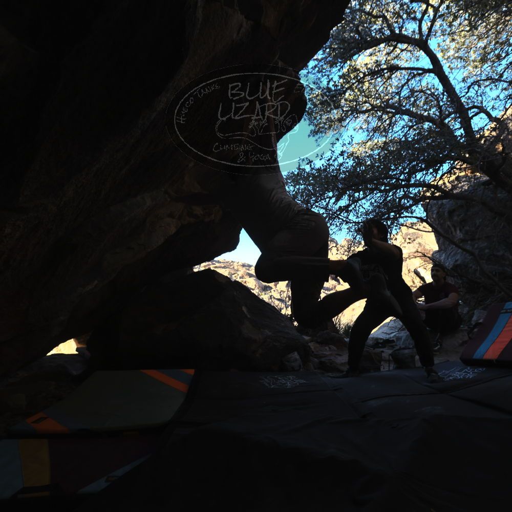 

Filename: SRM_20250202_1624322.jpg
Aperture: f/5.6
Shutter Speed: 1/400
Body: Canon EOS R6
Lens: Canon EF 16-35mm f/2.8 L