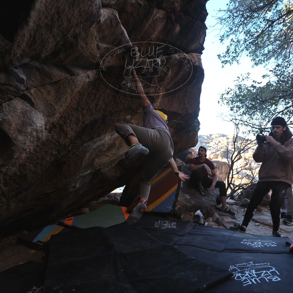 Filename: SRM_20250202_1656175.jpg
Aperture: f/4.0
Shutter Speed: 1/400
Body: Canon EOS R6
Lens: Canon EF 16-35mm f/2.8 L