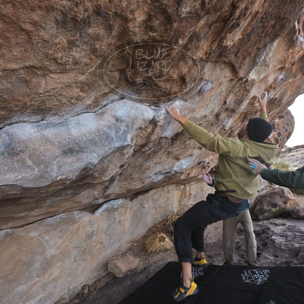

Filename: SRM_20250222_1026072.jpg
Aperture: f/5.6
Shutter Speed: 1/400
Body: Canon EOS R6
Lens: Canon EF 16-35mm f/2.8 L
