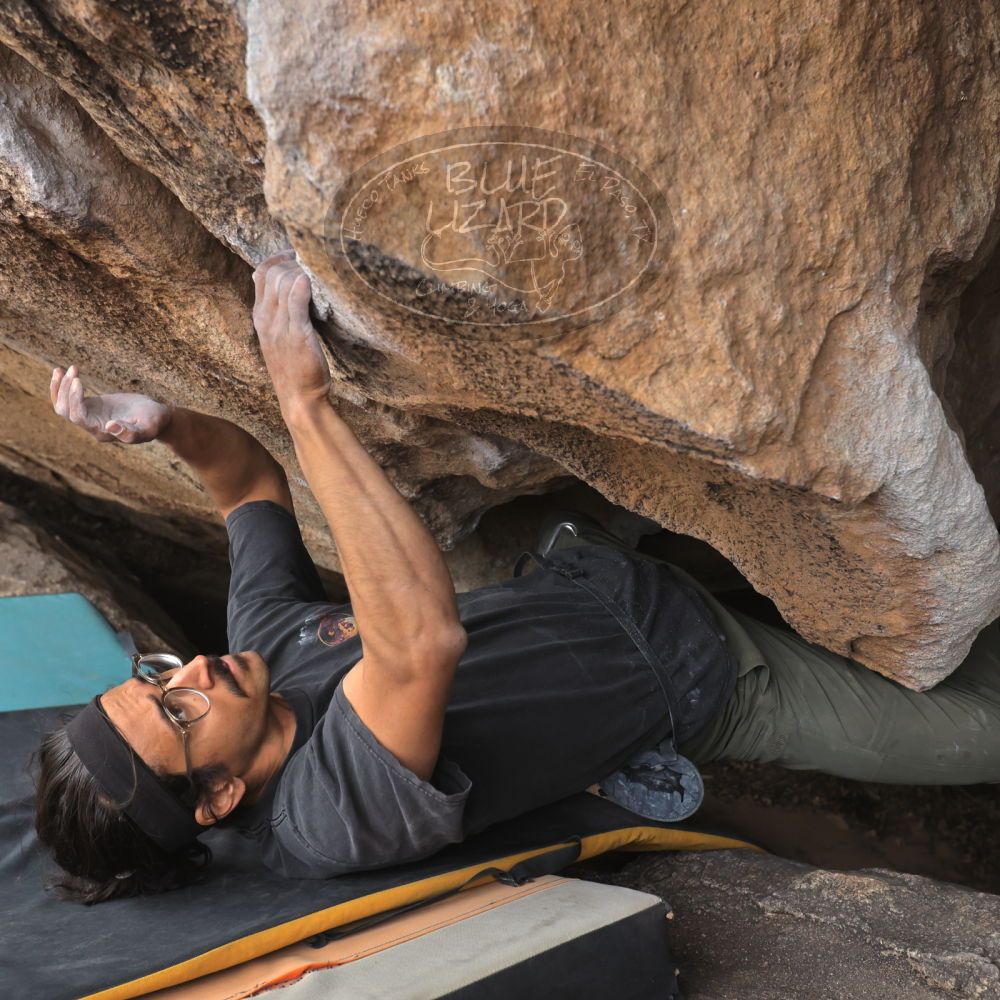 Filename: SRM_20250308_1350450.jpg
Aperture: f/5.0
Shutter Speed: 1/400
Body: Canon EOS R6
Lens: Canon EF 16-35mm f/2.8 L