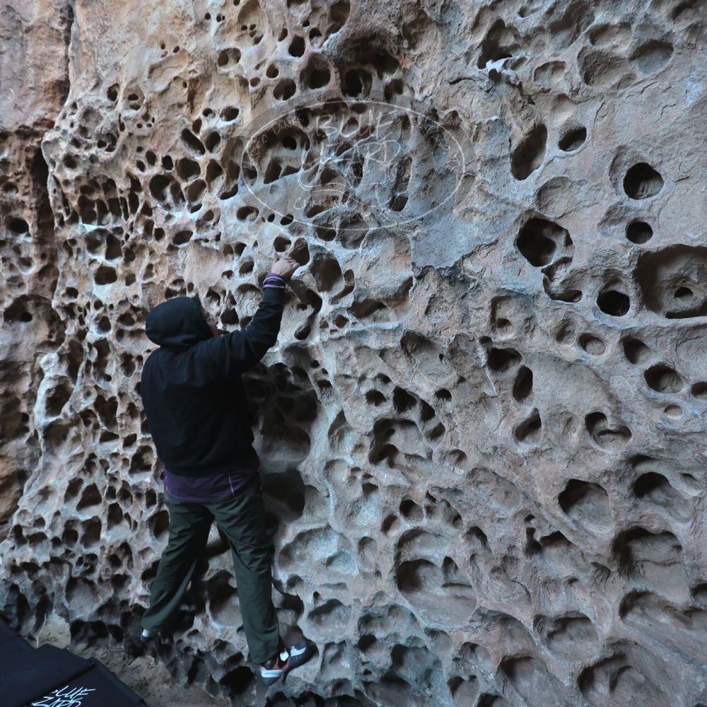 Filename: SRM_20250308_1708570.jpg
Aperture: f/4.0
Shutter Speed: 1/160
Body: Canon EOS R6
Lens: Canon EF 16-35mm f/2.8 L