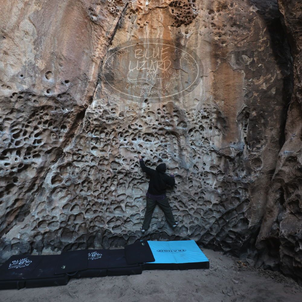 Filename: SRM_20250308_1709040.jpg
Aperture: f/4.0
Shutter Speed: 1/160
Body: Canon EOS R6
Lens: Canon EF 16-35mm f/2.8 L