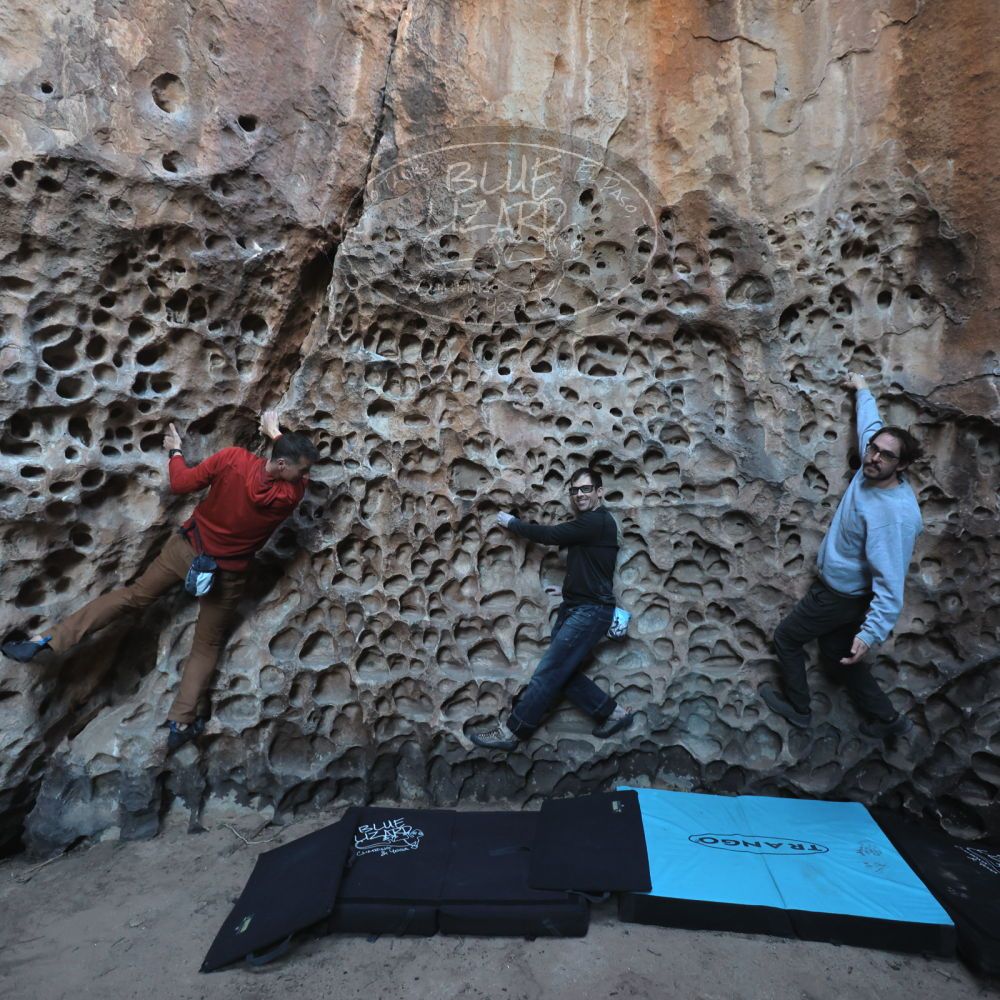 Filename: SRM_20250308_1712200.jpg
Aperture: f/4.0
Shutter Speed: 1/160
Body: Canon EOS R6
Lens: Canon EF 16-35mm f/2.8 L