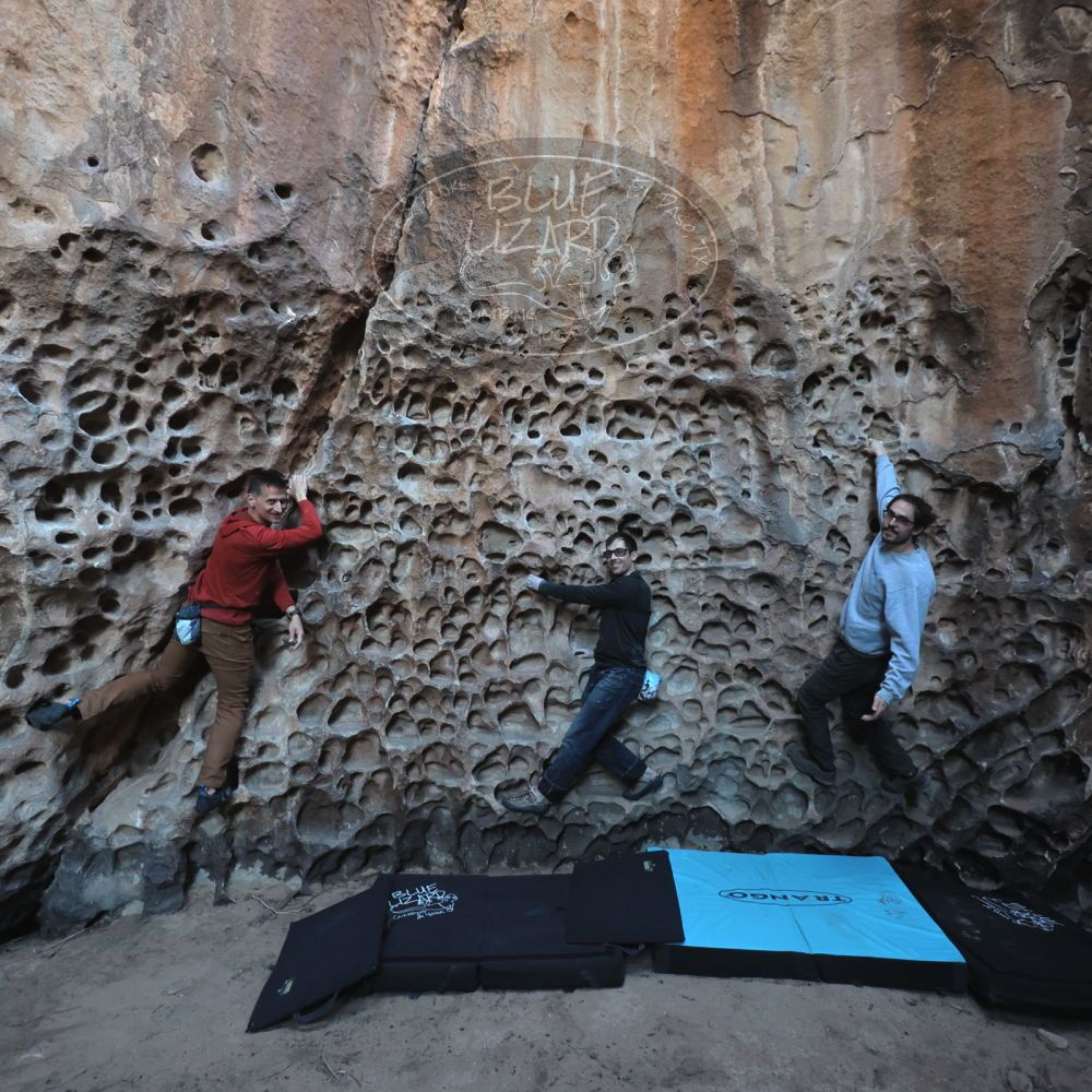 Filename: SRM_20250308_1712220.jpg
Aperture: f/4.0
Shutter Speed: 1/160
Body: Canon EOS R6
Lens: Canon EF 16-35mm f/2.8 L