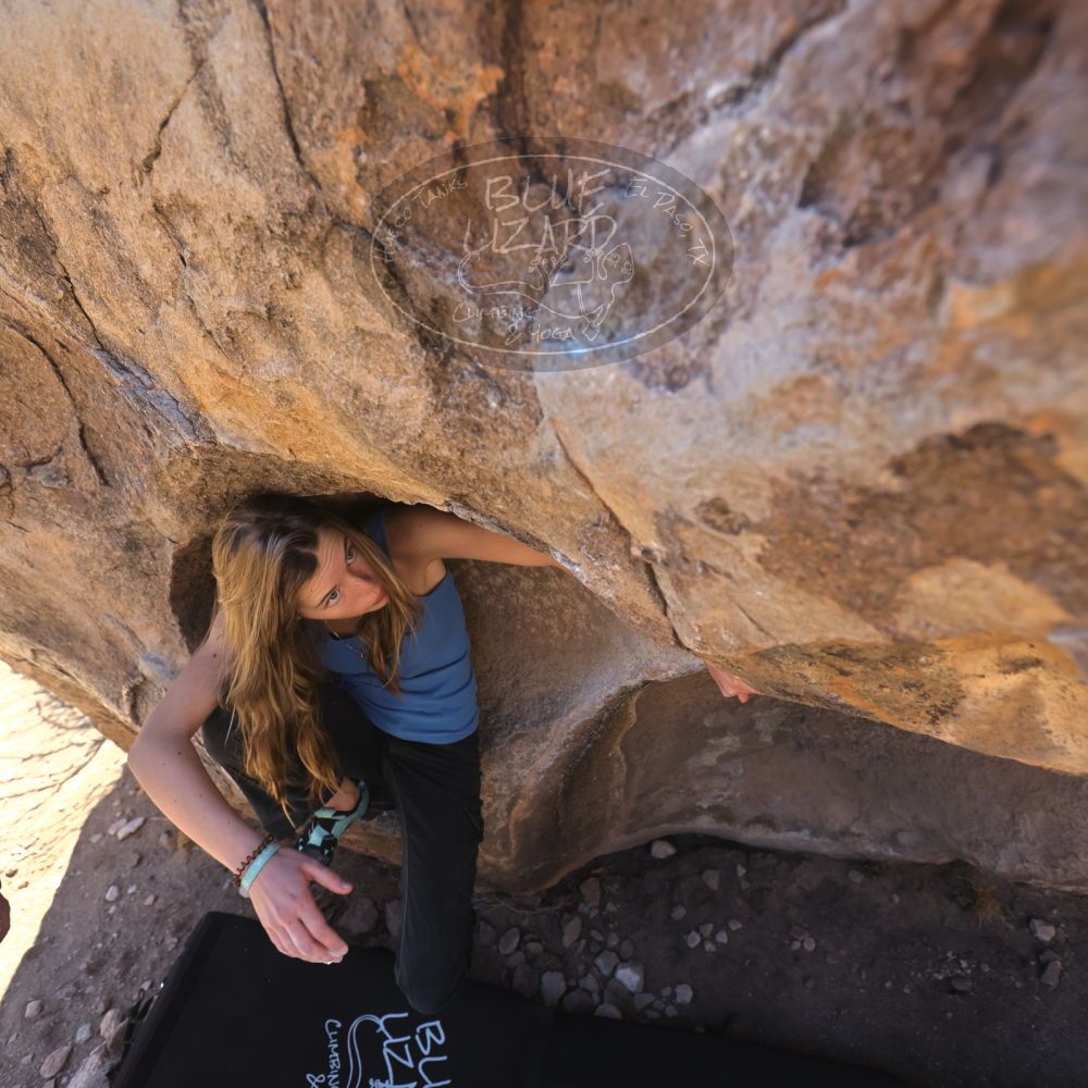 

Filename: SRM_20250316_1207240.jpg
Aperture: f/4.0
Shutter Speed: 1/500
Body: Canon EOS R6
Lens: Canon EF 16-35mm f/2.8 L