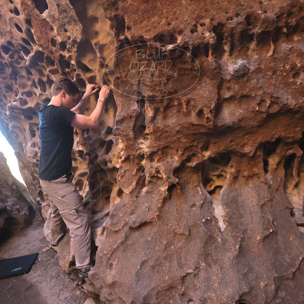 

Filename: SRM_20250316_1404550.jpg
Aperture: f/4.0
Shutter Speed: 1/125
Body: Canon EOS R6
Lens: Canon EF 16-35mm f/2.8 L