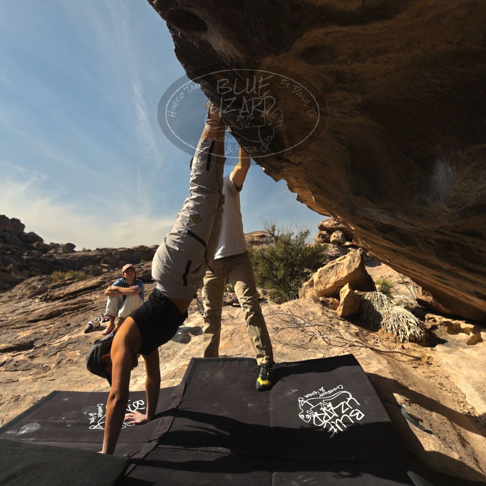 

Filename: SRM_20250317_0914340.jpg
Aperture: f/5.6
Shutter Speed: 1/500
Body: Canon EOS R6
Lens: Canon EF 16-35mm f/2.8 L