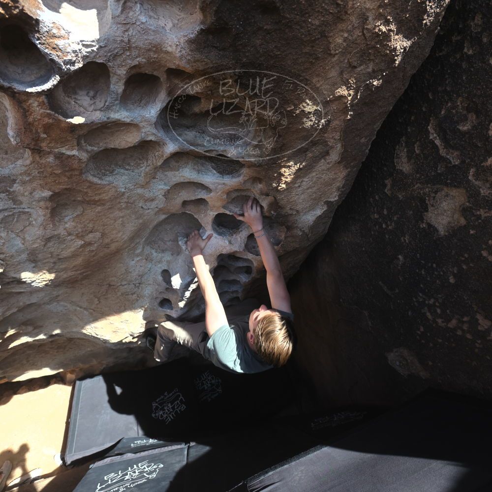 

Filename: SRM_20250317_1422540.jpg
Aperture: f/5.6
Shutter Speed: 1/500
Body: Canon EOS R6
Lens: Canon EF 16-35mm f/2.8 L