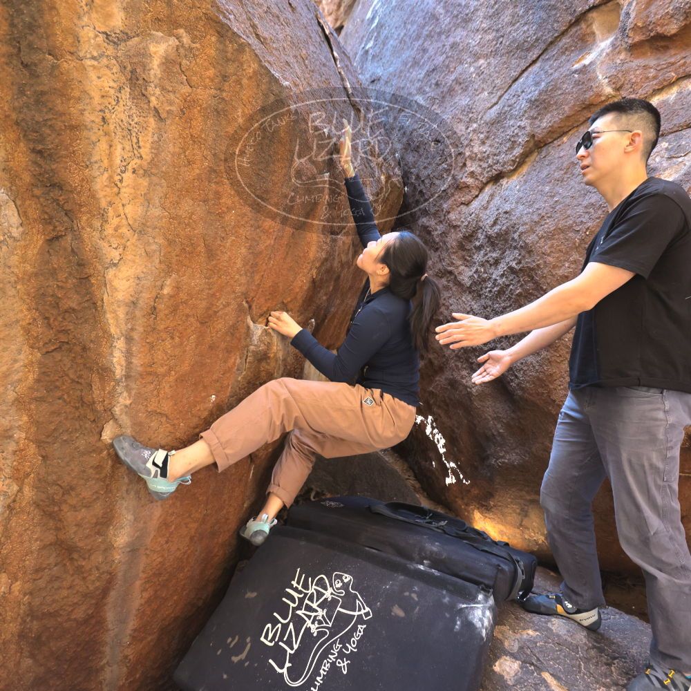 

Filename: SRM_20251109_1100120.jpg
Aperture: f/4.0
Shutter Speed: 1/400
Body: Canon EOS R6
Lens: Canon EF 16-35mm f/2.8 L