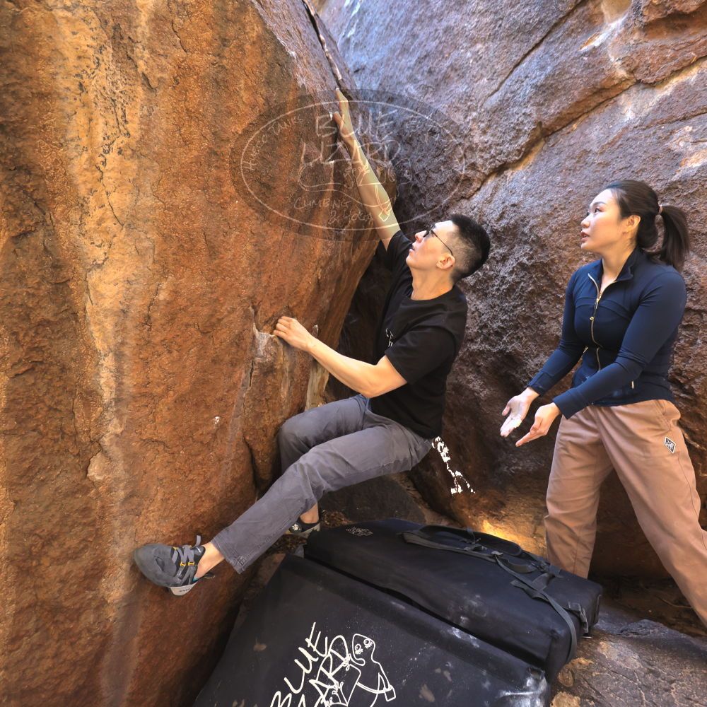 

Filename: SRM_20251109_1101020.jpg
Aperture: f/4.0
Shutter Speed: 1/400
Body: Canon EOS R6
Lens: Canon EF 16-35mm f/2.8 L